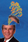 brainless, Dan Barowy