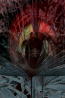 Title 3_2, Manuel Moreno-Lee