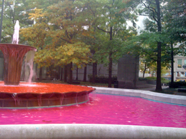 Pink!