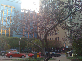 ceramic tree