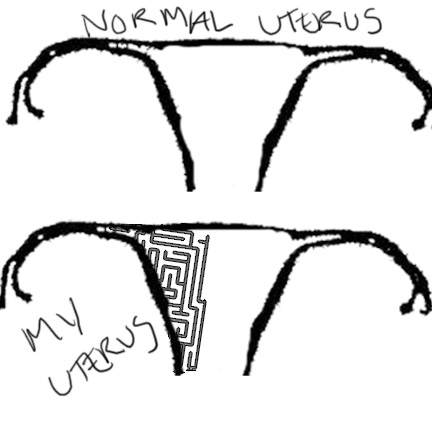 anatomy