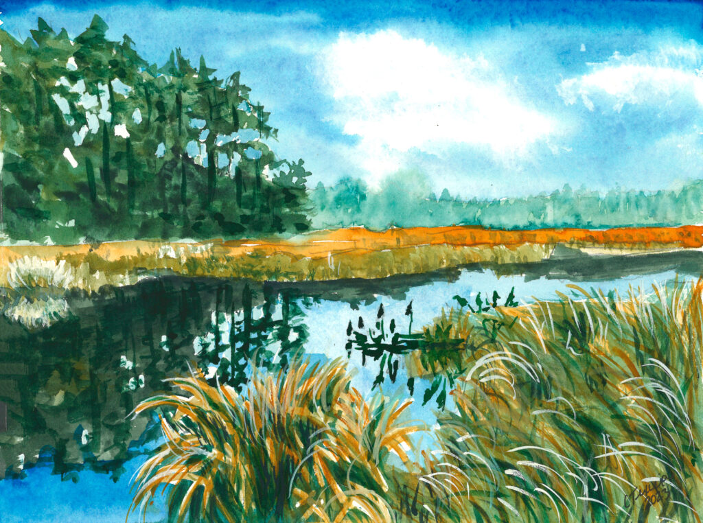 Painting of Marsh by 202 in New Salem