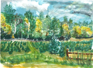 painting of a christmas tree farm in Ashfield ma - lots of green and yellow