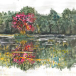 Picture of a red tree in a lake with grasses sticking out