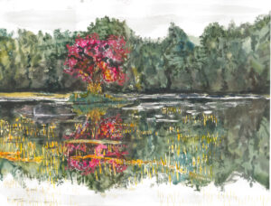 Picture of a red tree in a lake with grasses sticking out