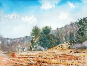 painting of Ashfield Christmas Tree Farm