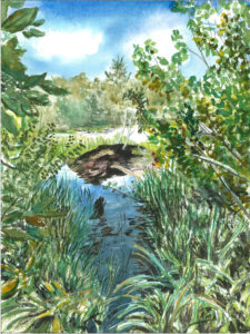 Watercolor painting of a small pond surrounded by dense green vegetation under a blue sky.
