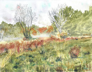 Watercolor painting of an autumn landscape with grassy foreground and mixed trees under cloudy sky