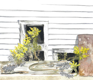 White wooden wall with two dark openings and yellow flowers growing nearby, rusty metal object aside.