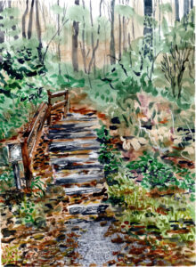 Watercolor painting of wooden stairs with a handrail in a dense green forest setting.