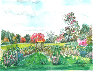 Watercolor painting of a garden with green grass, colorful bushes, trees, and a partly cloudy sky.