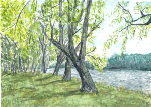 Painting of trees next to the connecticut river