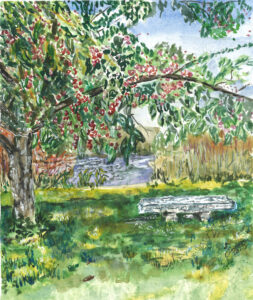 Watercolor painting of a tree with red berries, stone bench, grass, and water under a blue sky.