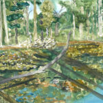 Painting of the Swamp on Wendell Depot Rd