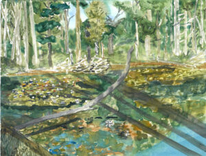 Painting of the Swamp on Wendell Depot Rd