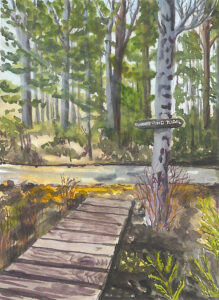 Watercolor painting of a wooden boardwalk leading to a forest trail marked Pond Trail.