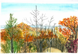 Watercolor painting of an autumn forest with bare and colorful trees under a blue sky