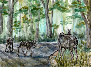 painting of Cow Moose and two Calves on road in Shutesbury