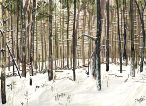 Watercolor painting of a snow-covered forest with tall slender trees and muted earthy tones.