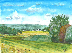 Painting of the strawberry fields of Upingill Farm