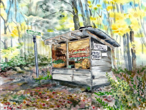 Watercolor painting of a wooden produce stand with maple syrup on Stone Light Road in autumn.