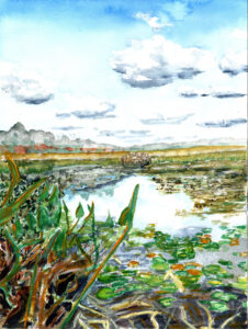 Watercolor painting of a wetland with tall grasses, lily pads, water, hills, and a partly cloudy sky.