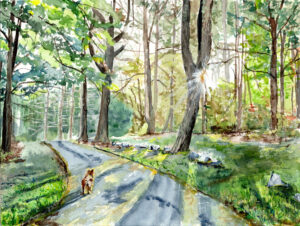 Watercolor painting of a forest path with sunlight filtering through trees and a small dog walking.