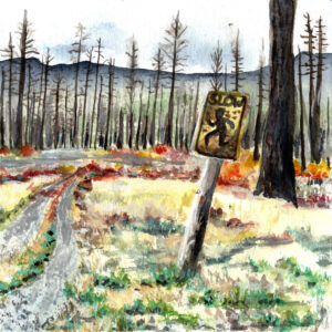 Watercolor painting of a dirt path through a barren forest with a tilted slow sign.