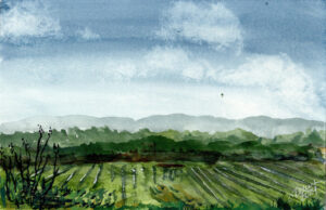 Mindscape Cultivated