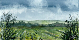 Mindscape Cultivated II