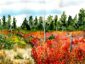 Watercolor landscape of a field with red and green foliage, leafless trees, and a dense forest.