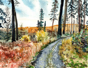Watercolor painting of a forest scene with a winding dirt path and tall trees.